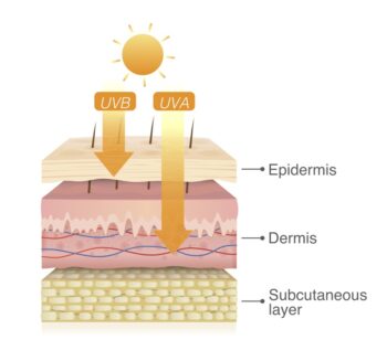 uva straling dringt dieper door in je huid dan uvb straling